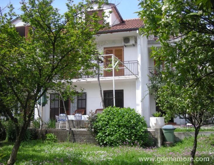 Pogled kroz ba&scaron;tu